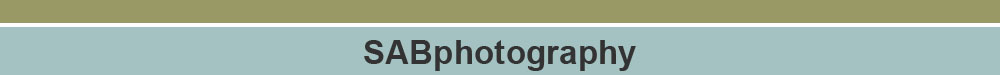 blog.sabrinabrantphotography.com logo