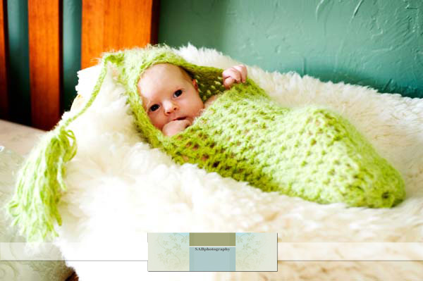 peapod2web