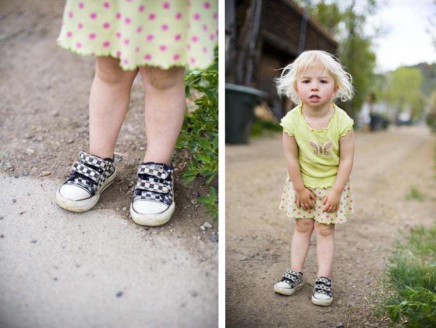 dandelion_blog_raimee1