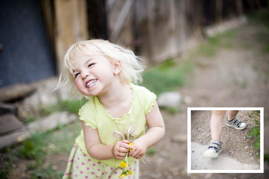 dandelion_blog_raimee2