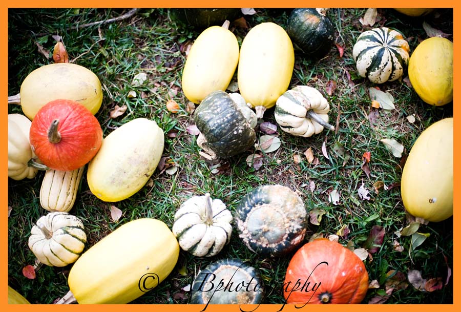 3blog