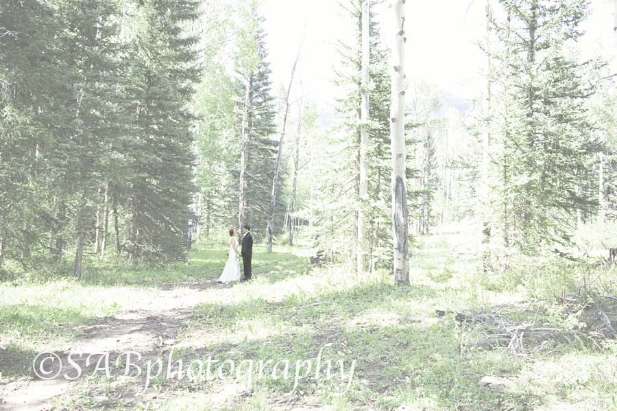tinyforest
