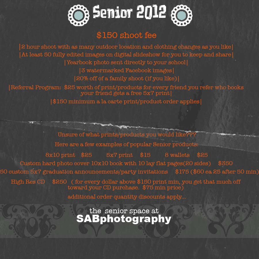 Senior2010ad_blog
